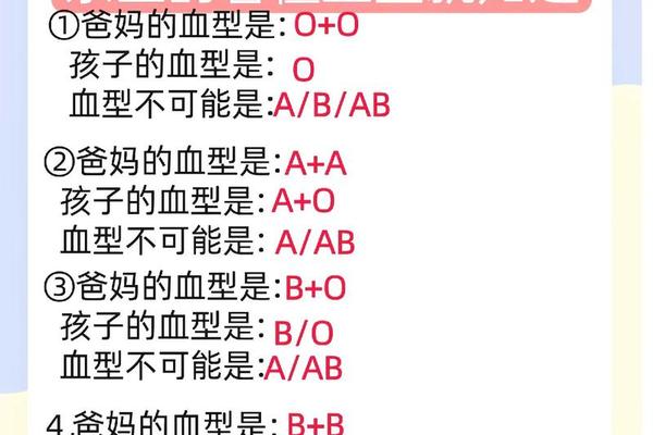a和b血型生出、a和b生出什么血型的概率大