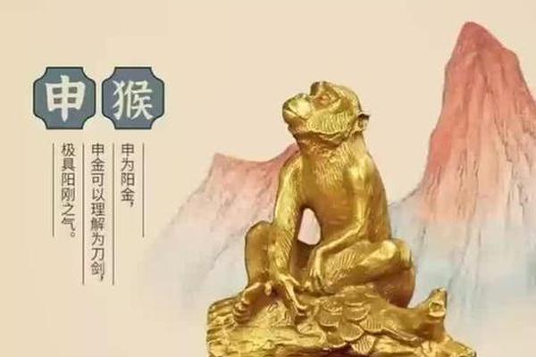 申金天干地支(申金是什么金)