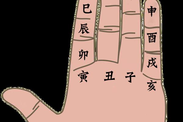 手掌天干地支贵人,十二地支贵人口诀