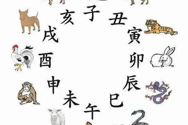 天干地支形象图片_天干地支万物类象详解