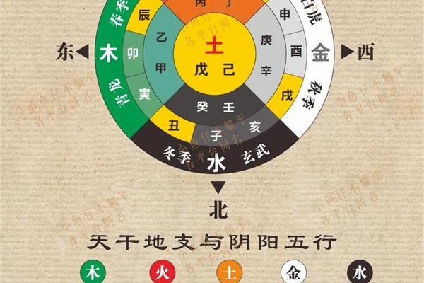 天干地支阴阳代表什么;天干与地支中阴阳各是哪些