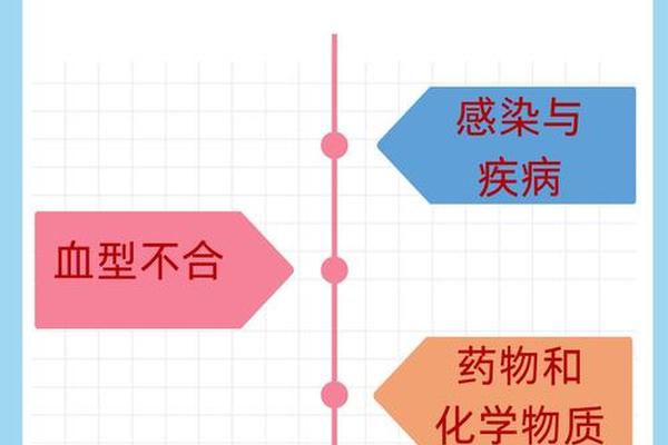 o血型和a血型溶血吗_男a女o血型在一起会溶血吗
