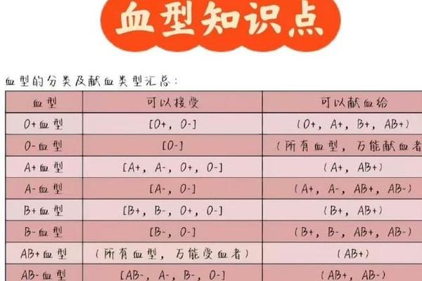 A血型的事业搭档血型 A型血为什么叫贵族血
