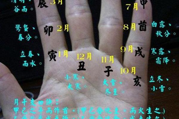 掐指算天干地支方法_天干地支最正确的算法