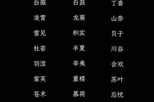 天干地支起网名;八字网名