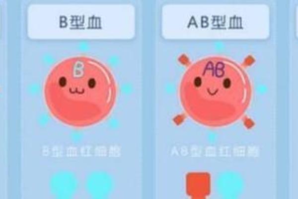 a血型人是否聪明—清华北大什么血型最多