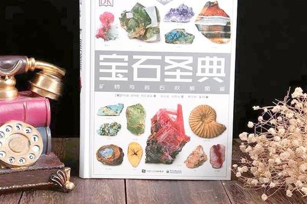 珠宝风水学入门书籍图片