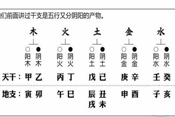 天干地支之甲木,甲木跟辰土的关系