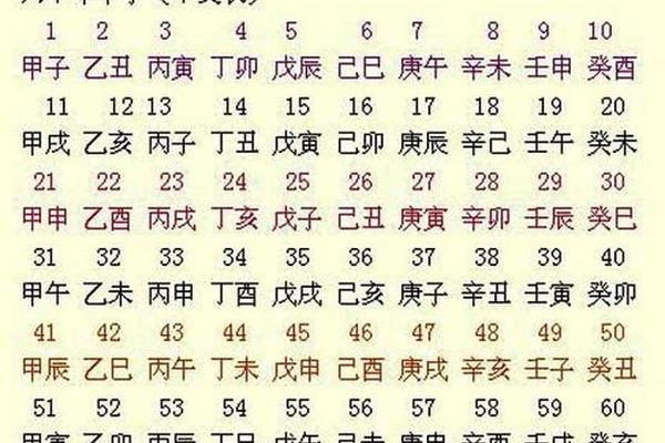 年天干地支代表什么-六十年甲子表