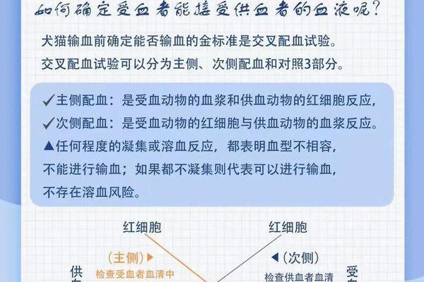 a血型可以给b血型捐肝—为什么不建议捐肝