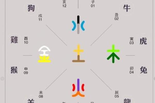 丁亥的天干地支(丁亥天干地支属什么)