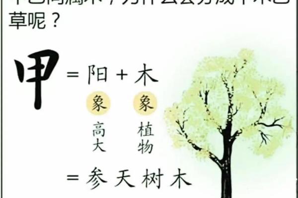 梦见自己读天干地支的书;梦见自己拿着书本