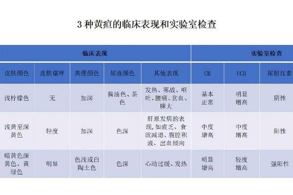 血型A黄疸,黄疸与o型血有关系吗