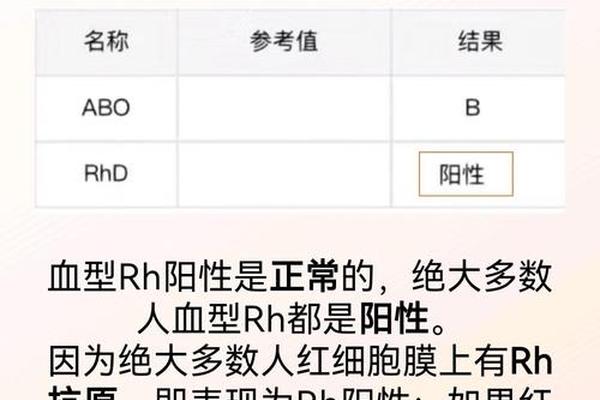 血型结果a rh是什么血型 rh血型阳性好不好的