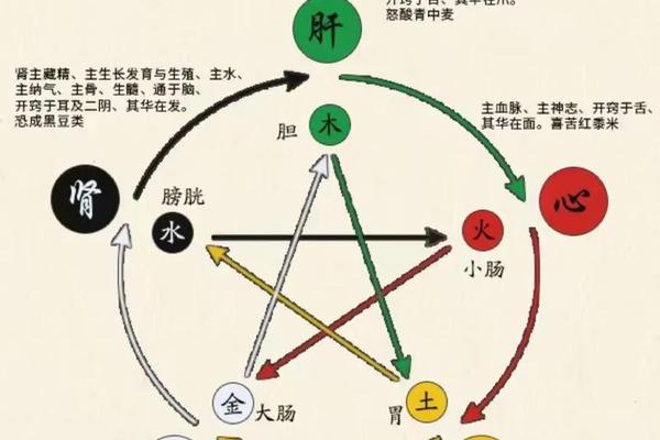 天干地支运转原理-大运天干地支作用原则