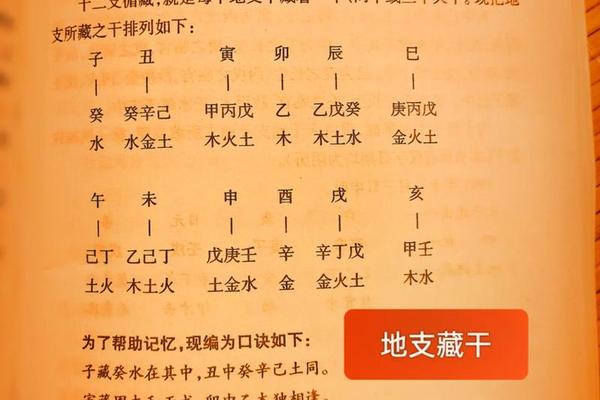 天干地支209(天干地支在线查询)