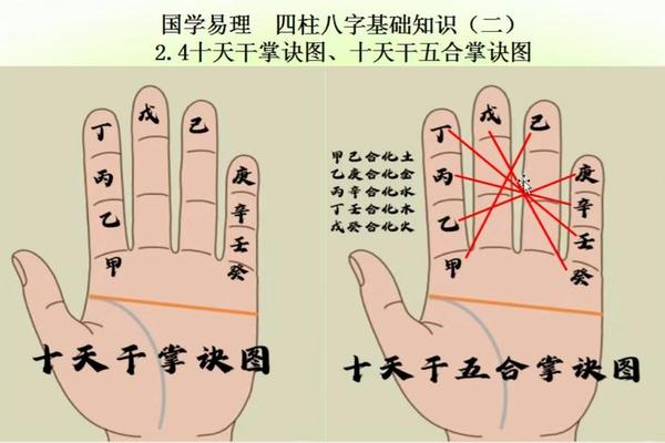 掌图天干地支,手掌天干地支八卦图
