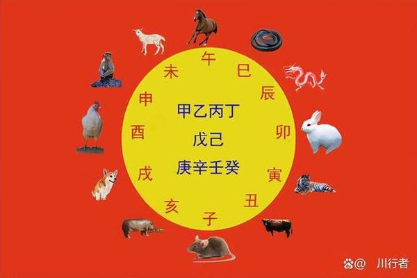 天干地支与属相-十二地支与金木水火土