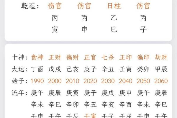生辰 天干地支软件、八字排盘软件
