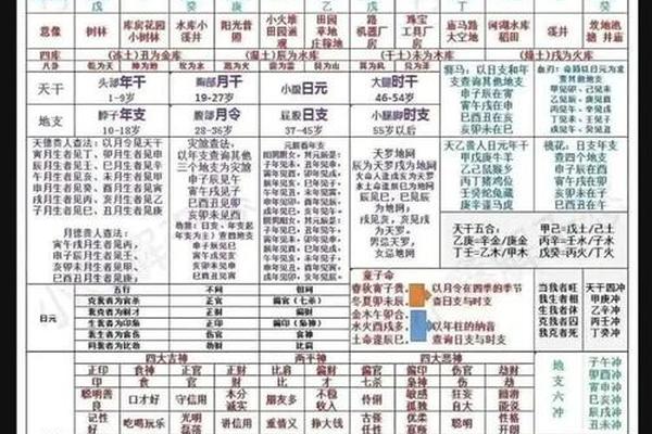 高考天干地支-天干地支常识