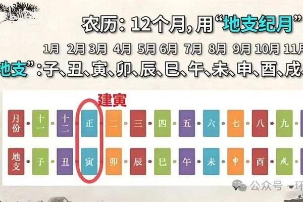 日历怎么显示天干地支、手机怎么显示天干地支