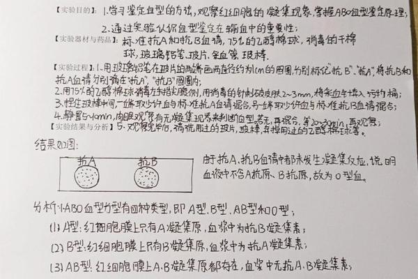 已知血型A鉴定其他血型—已知某人的血型为B