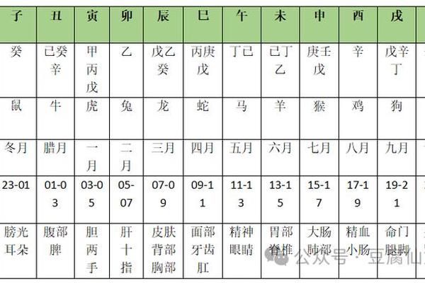 透出天干地支、藏干透出表