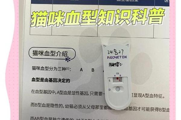 德文母猫血型a、猫血型卡使用说明