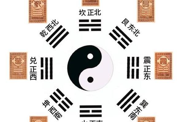震的天干地支 震卦对应身体哪个部位