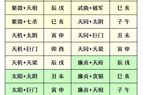 紫薇宫位天干地支_紫微斗数哪几个宫位最重要