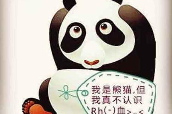 a血型贴纸、a+血型是熊猫血吗