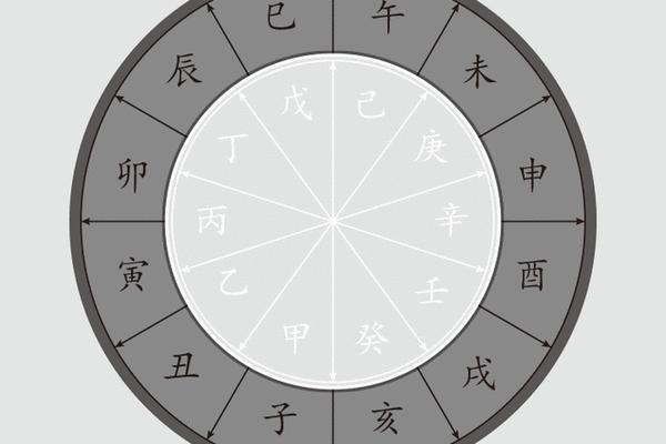 姓氏天干地支动态壁纸—十二地支图片大全大图