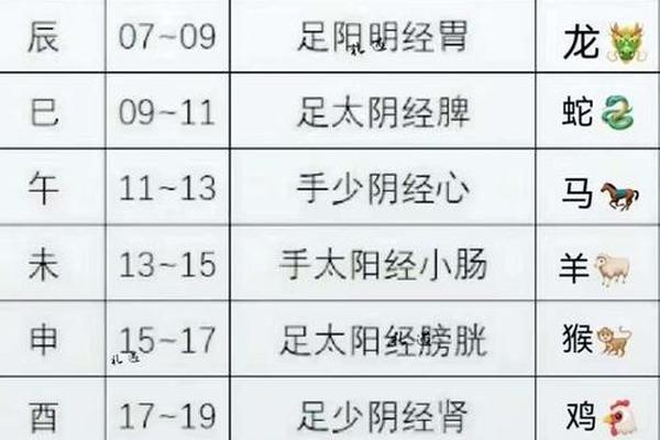 天干地支通气图-天干地支对应身体部位口诀