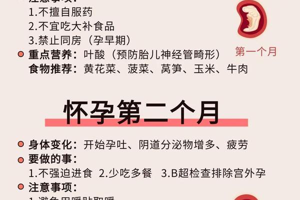 A血型容易怀孕—o型血女人怀孕注意什么
