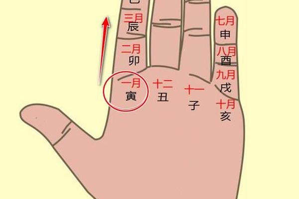 手图天干地支_手指天干地支的表示图