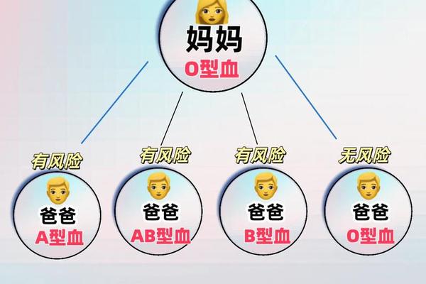 A血型和B血型溶血现象-母O型子AB型为什么不溶血