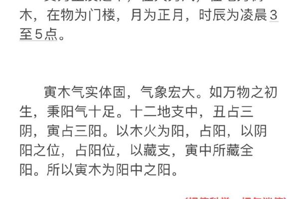 天干地支寅啥意思(地支寅代表什么意思)