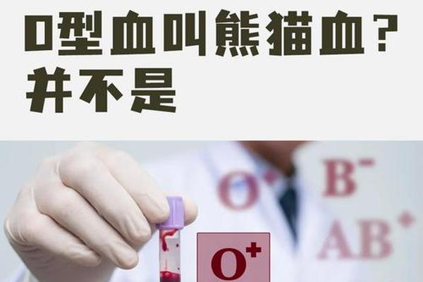 熊猫a血型是什么,熊猫血是Ab还是O 熊猫a血型是什么,熊猫血是Ab还是O