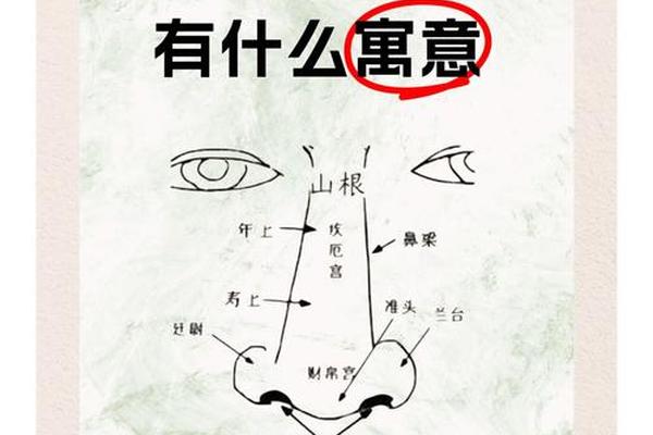 痣相鼻梁有痣-女人痣相图解