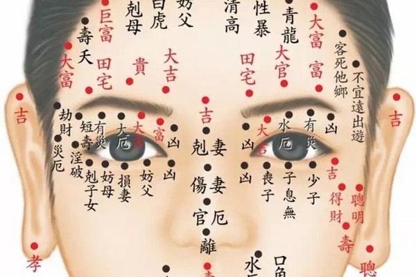 面无善痣相无恶相 脸上无善痣是什么意思