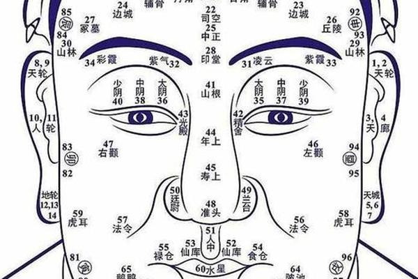 麻衣神相痣的说法_麻衣神相痣图解男