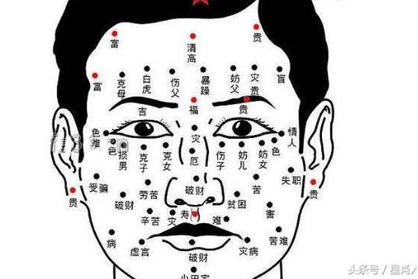 手背有痣相大全;手掌痣相图解
