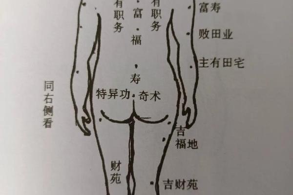 胳膊内侧痣相讲解,全身痣相图解大全