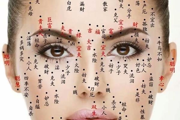 周易看痣相-面相学痣