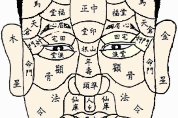 麻衣神相痣,麻衣相法大全图解痣