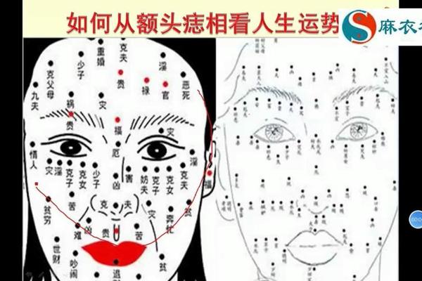 麻衣神相眉头有痣—麻衣神相 痣