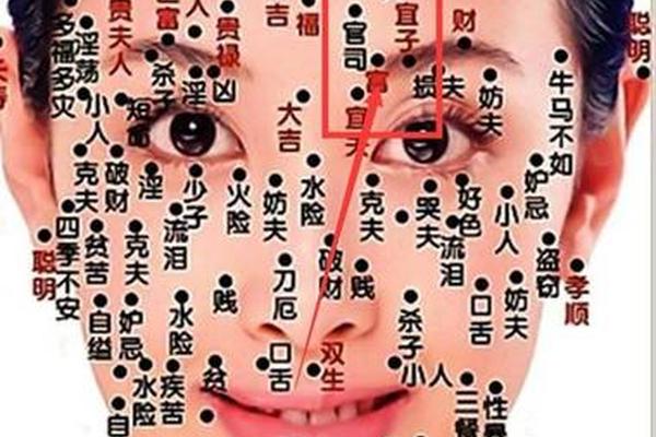 女子眉毛附近痣相 痣相大全详解