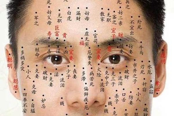 男性左眉上痣相_男人左眉上方有痣图解