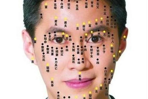 马龙痣相(面相痣龙代表什么意思)