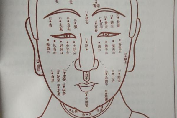 麻衣神相女子痣面_面相痣的图片大全 图解 解说